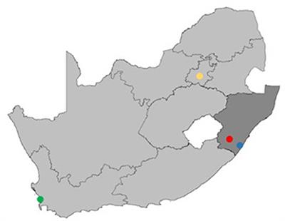 A participatory assessment of nitrified urine fertilizer use in Swayimane, South Africa: Crop production potential, farmer attitudes and smallholder challenges